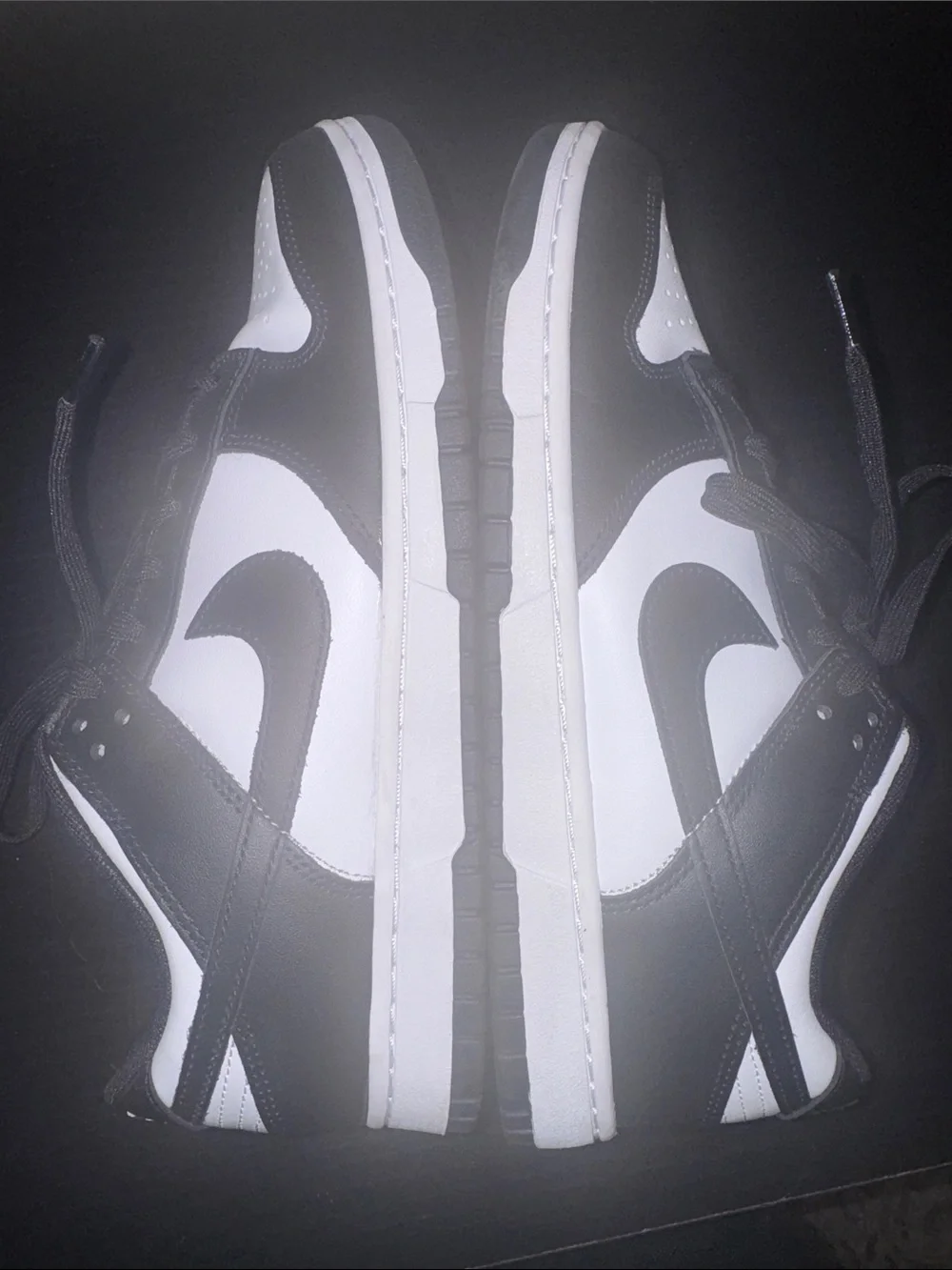 Nike Panda Men’s Low-Top Sneakers